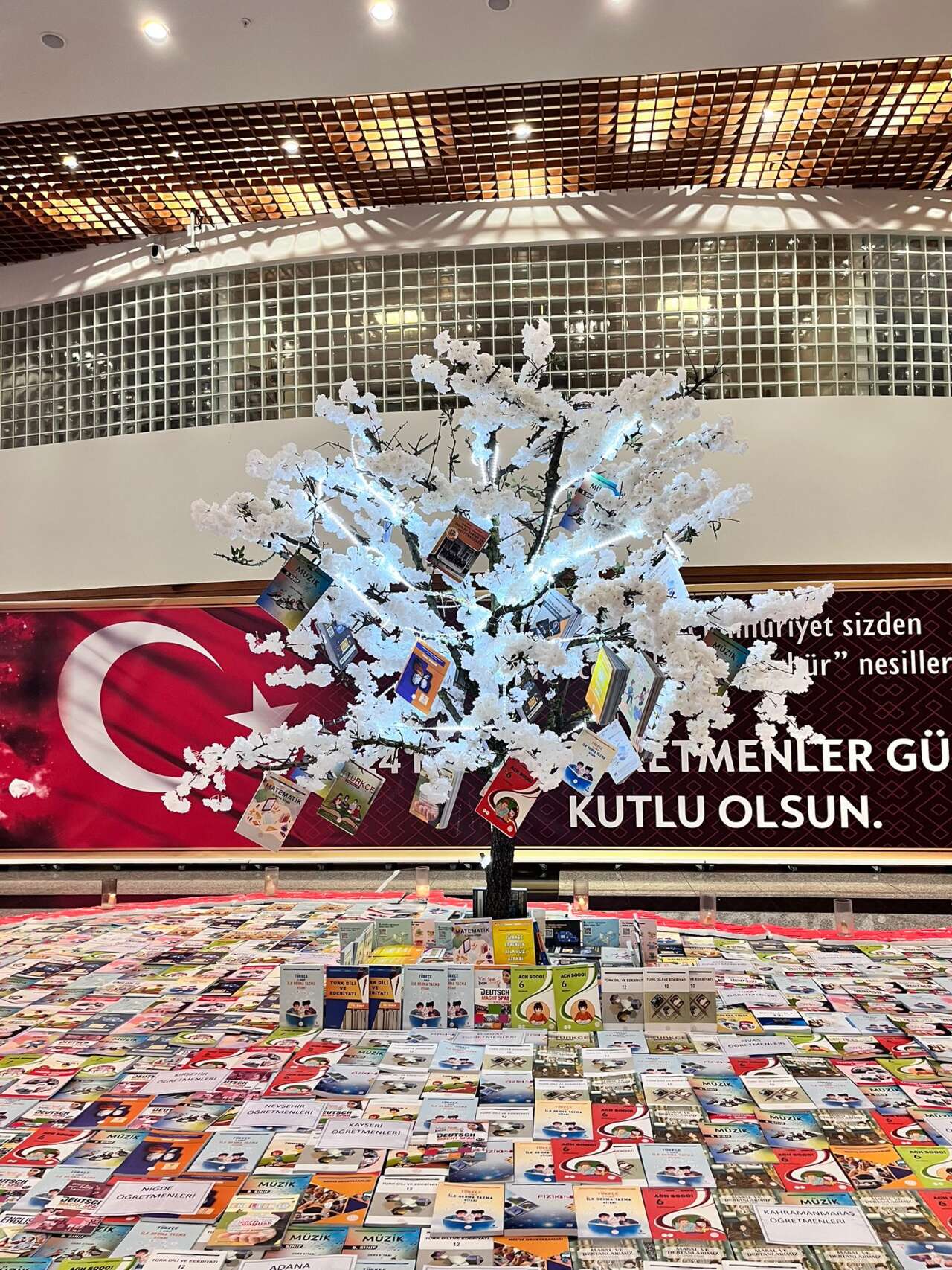 Muğla’da 24 Kasım Öğretmenler Günü Coşkuyla Kutlandı 1